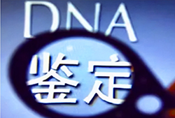 浙江司法亲子鉴定如何办理，浙江权威司法DNA鉴定机构