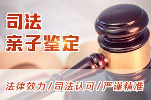 浙江司法亲子鉴定需要如何做,浙江司法DNA鉴定大概多少钱