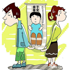浙江省匿名DNA亲子鉴定收费多少，浙江省匿名亲子鉴定需要什么流程