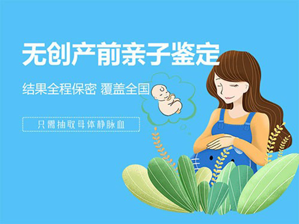 浙江怀孕了要如何办理产前亲子鉴定,浙江做无创孕期亲子鉴定大概多少费用