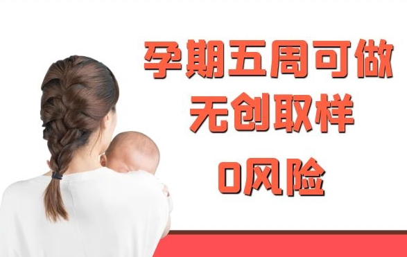 浙江怀孕了要如何办理产前亲子鉴定,浙江做无创孕期亲子鉴定大概多少费用