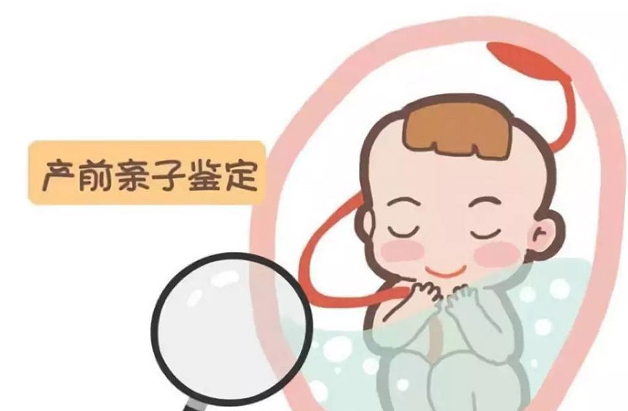 浙江省怀孕如何办理亲子鉴定,浙江省胎儿做亲子鉴定办理流程