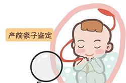 浙江省怀孕如何办理亲子鉴定，浙江省胎儿做亲子鉴定办理流程
