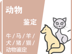 浙江省动物鉴定