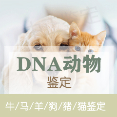 浙江省动物鉴定
